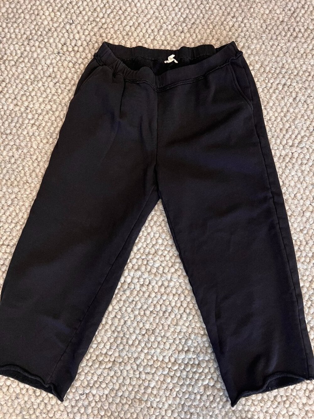 Eileen Fisher Organic Terry Cropped Sweats Size Large